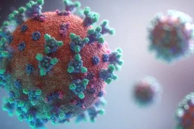 Norovirus Outbreak Hits the U.S., Northeast Most Affected