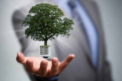 Trend: The Shift Towards Sustainable Business Practices
