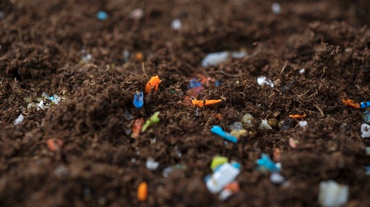 Ancient Soil Samples Reveal Microplastic Contamination: A Wake-Up Call for Archaeology