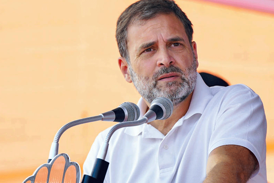 Congress luminary Rahul Gandhi is poised to formally enter the electoral fray today as he presents his nomination papers for the Wayanad parliamentary constituency at the collectorate, following an energizing roadshow in Kerala's Kalpetta. This move comes just as the nation gears up for the first phase of the polls, reflecting the escalating pace of election-related endeavors among various political factions.