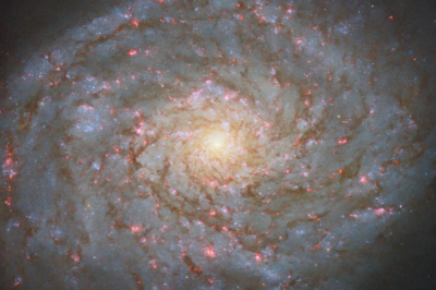 NASA Shares Stunning Image of Spiral Galaxy Named After Egyptian Queen; Netizens React, ‘Breathtaking Glimpse’