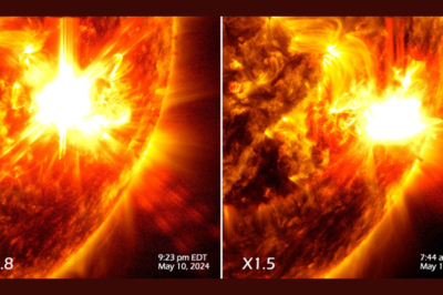 NASA’s Solar Dynamics Observatory Captured Striking Images of Two Powerful Solar Flares