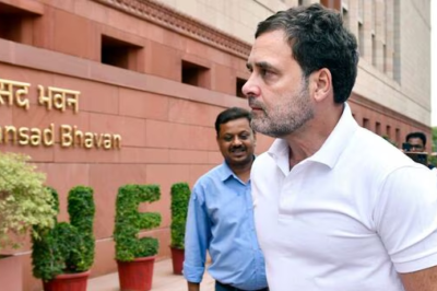 Rahul Gandhi Appointed Leader of Opposition in Lok Sabha