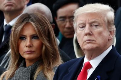 Are Melania and Donald Trump Getting Divorced? Fact-Checking Viral Claim