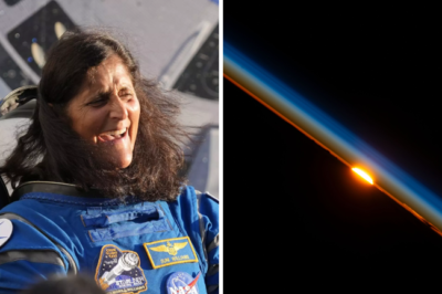 16 Celebrations, 90 Minutes Apart: Sunita Williams’ Unique New Year Aboard the ISS