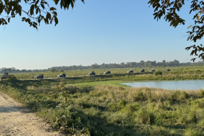 Compared to previous year, Kaziranga National Park has seen a daily increase in visitors, bringing in almost ₹5.7 Cr in revenue over the course of three months.