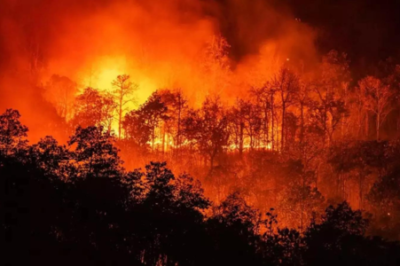 How the LA Wildfire Turned Deadly: A Devastating for Toll of Lives and Homes