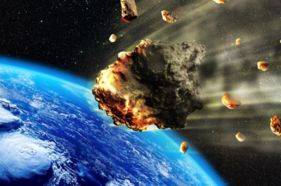 NASA Raises Probability of Asteroid YR4 Impact in 2032—Should We Be Worried?