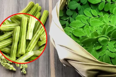 8 Amazing Benefits of Moringa (Drumstick) and Its Leaves