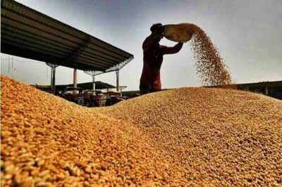 India’s Wheat Procurement Surpasses Expectations
