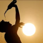 UK Heatwave Could Claim 600 Lives This Week, Scientists Warn