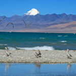 Mansarovar Pilgrimage Resumes – Pilgrims Plead for More Slots