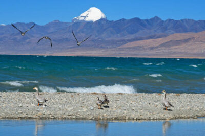 Mansarovar Pilgrimage Resumes – Pilgrims Plead for More Slots