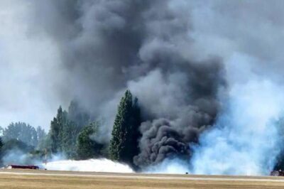 Southend Airport Plane Crash: Fiery Tragedy Moments After Take-off