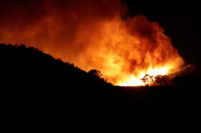 Wildfire Near Marseille Injures Over 100, Forces Mass Evacuations