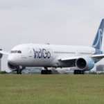 IndiGo Flight Safely Returns to Patna After Bird Strike