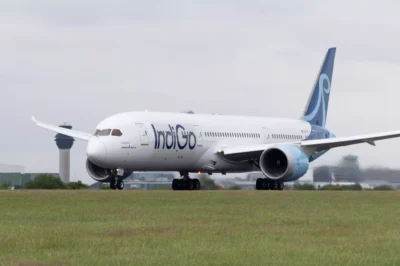 IndiGo Flight Safely Returns to Patna After Bird Strike
