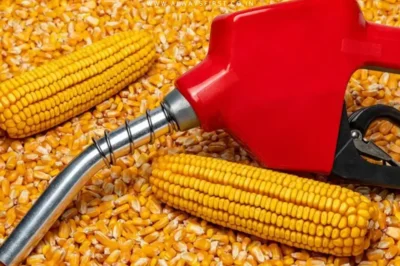 Ethanol Is India’s Future Fuel, Says Nitin Gadkari in Bold Push for Bioenergy