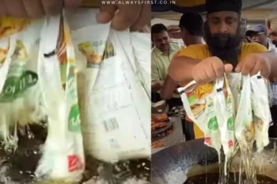 Microplastic Pakodas’? Punjab Vendor’s Shocking Cooking Method Goes Viral
