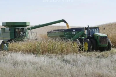 India's Corn Conundrum: Why the U.S. Isn't Filling the Domestic Shortfall