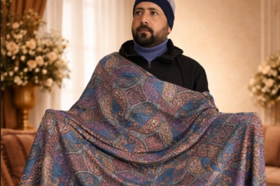 Kashmir Pashmina GI Push Signals New Hope for India’s Rural Handicrafts Economy