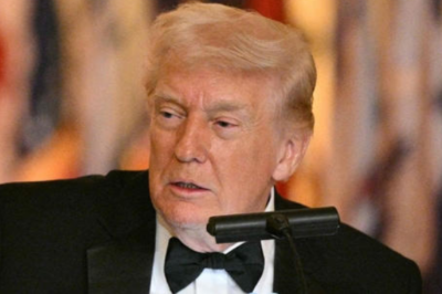Transatlantic Trade Talks Hit Pause as Trump Plans New 15 Percent Import Tariffs