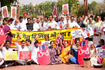 Why TMC MPs Are Protesting Over LPG Supply in Parliament Today