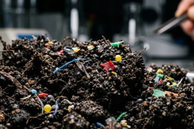 Microplastics in Soil: The Silent ‘Trojan Horse’ Threatening Global Ecosystems