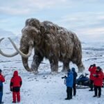 A detailed digital recreation of a woolly mammoth walking through a snowy Siberian landscape, symbolizing the future of de-extinction technology.